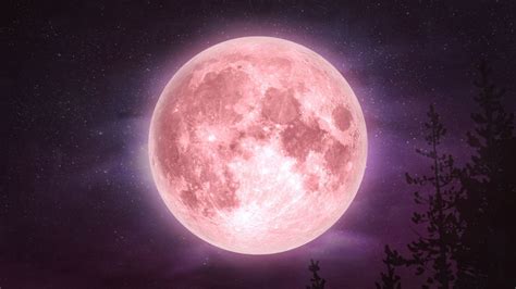 la luna rosada